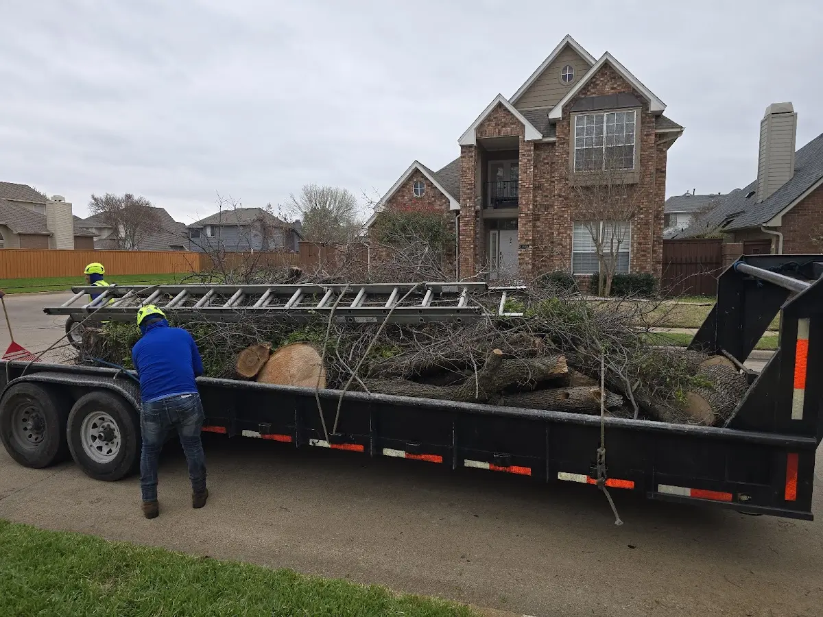 Expert Lot Clearing with proper safety equipment in Cordova